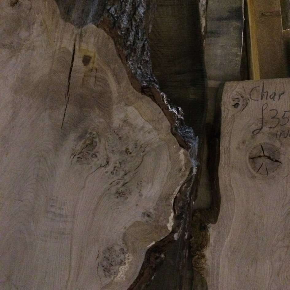 Timber Ragan Take-away Timber for Woodfans | Wood Blog | English Woodlands Timber